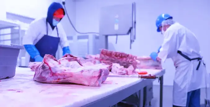 Optimizarea Proceselor cu Dyntell ERP